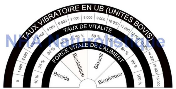 Planche de radiesthesie taux vibratoire des aliments modele noir blanc