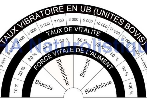 Planche de radiesthesie taux vibratoire des aliments modele noir blanc