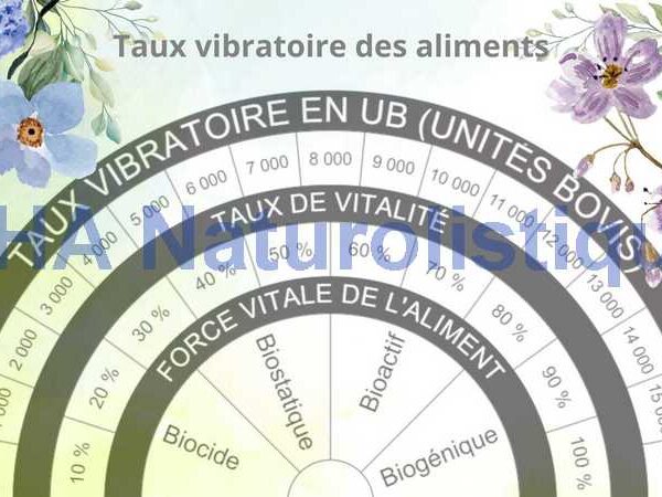 Planche de radiesthesie taux vibratoire des aliments modele fleurs aquarelle