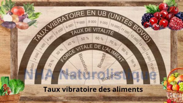 Planche de radiesthesie taux vibratoire des aliments modele table mise vintage