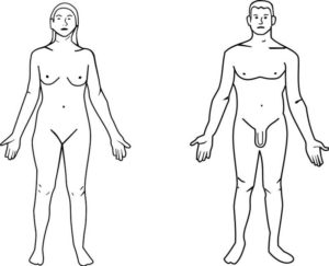Positions de référence anatomique. Source: Wikimedia Commons