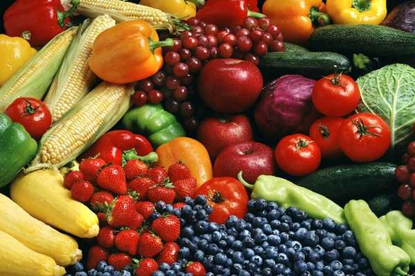 Alimentation naturelle et biogenique