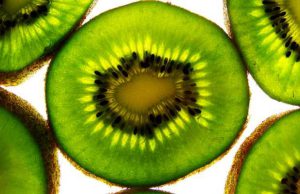 La  force vibratoire  d’un kiwi