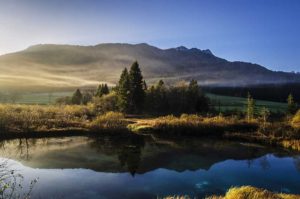 Les cinq principes de la naturopathie