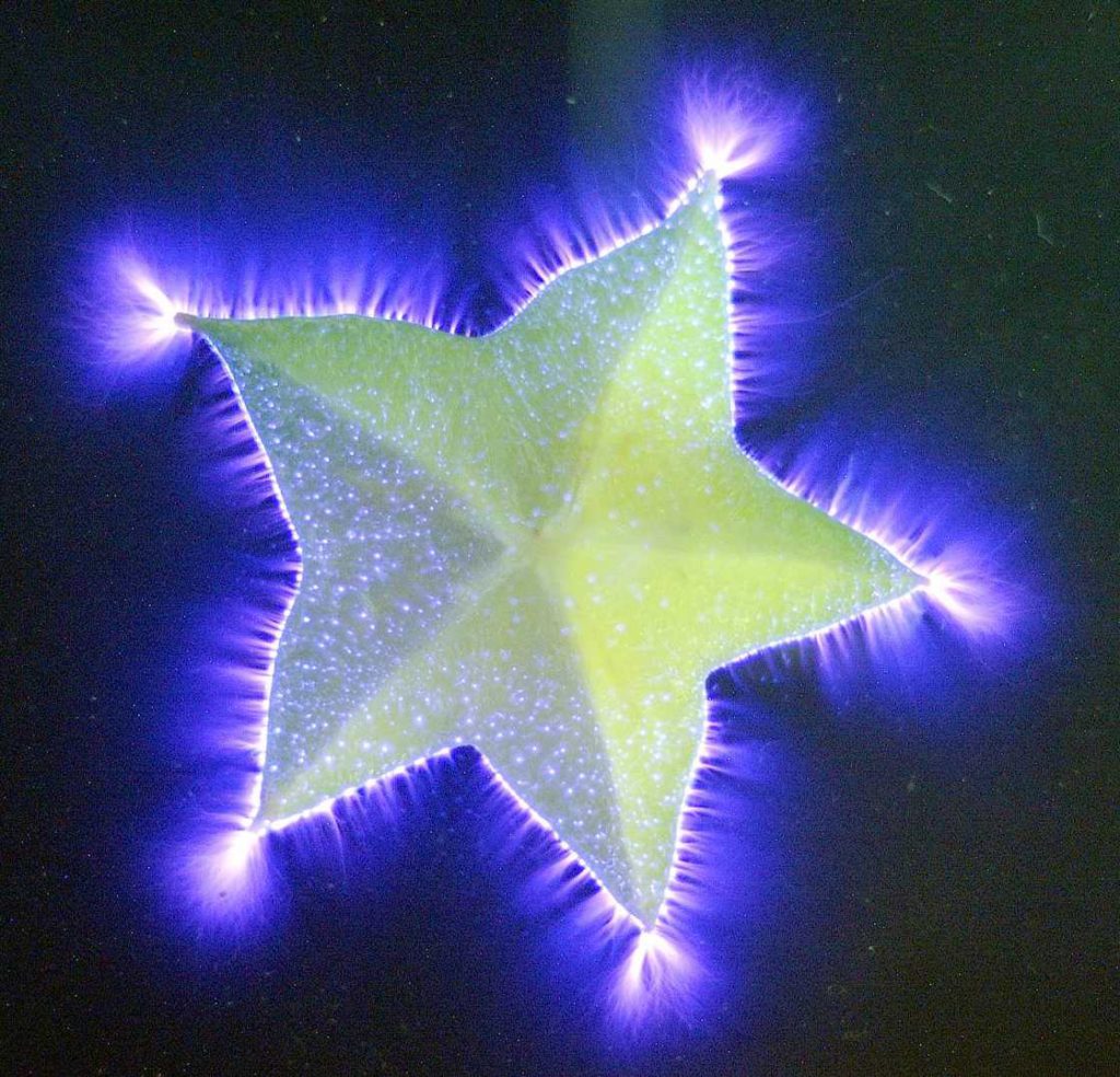 La force vitale d'une tranche de carambole crue.