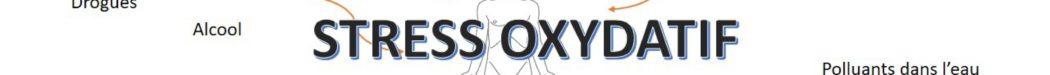 Stress oxydatif