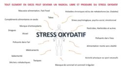 Stress oxydatif