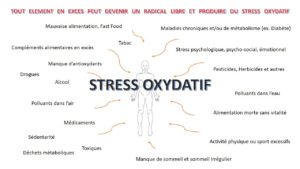 Stress oxydatif - Un danger réel causé par les radicaux libres Stress oxydatif