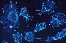 Autres lésions cellulaires