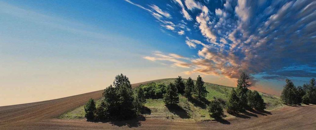 Terrain