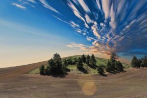 Terrain
