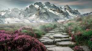 Chemin vers la nature