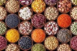 Légumes secs