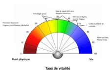 Cadran Taux de vitalité