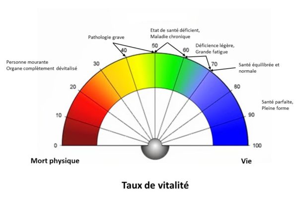 Cadran Taux de vitalité