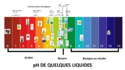 pH de l'eau et de quelques liquides