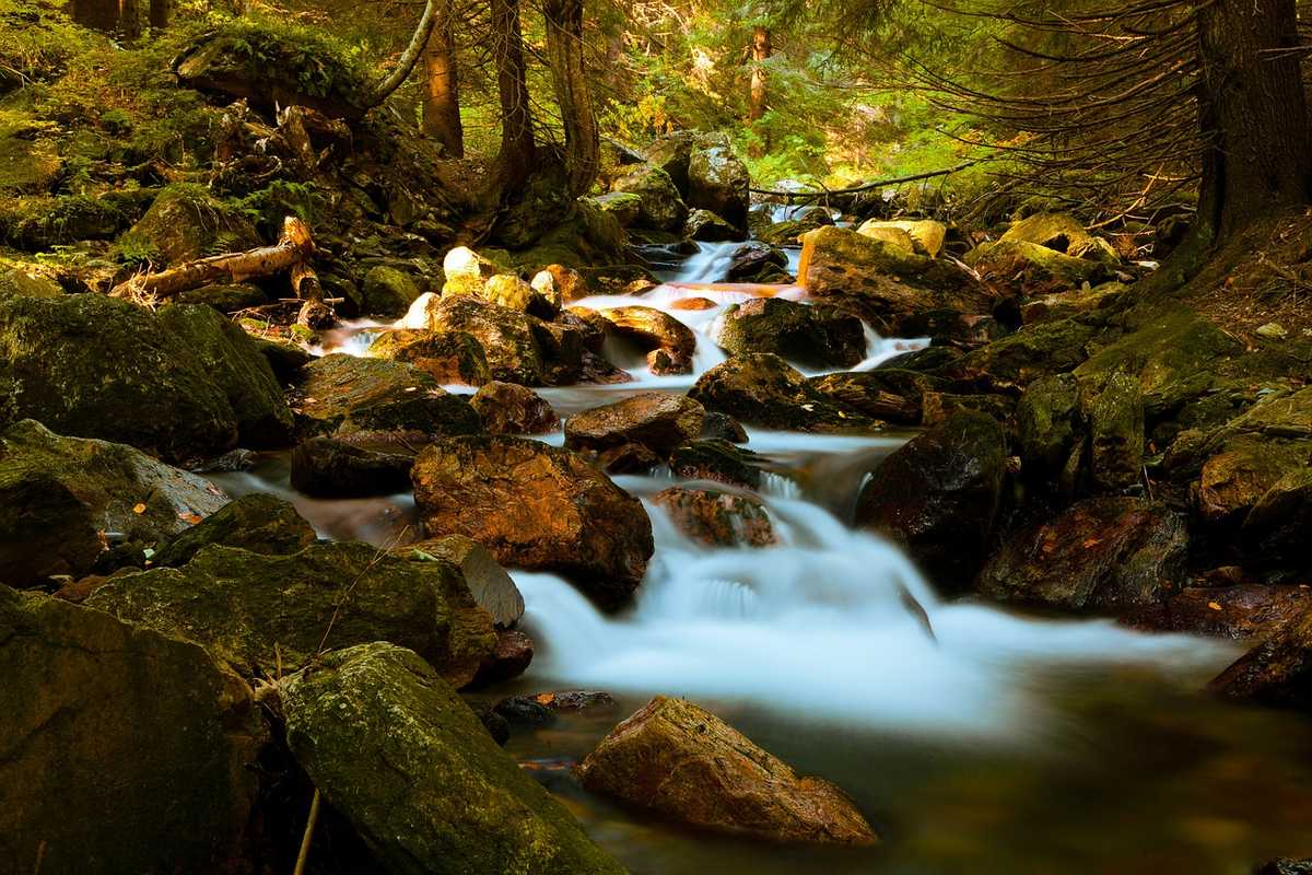 La qualité de l'eau dépend beaucoup de sa pureté.