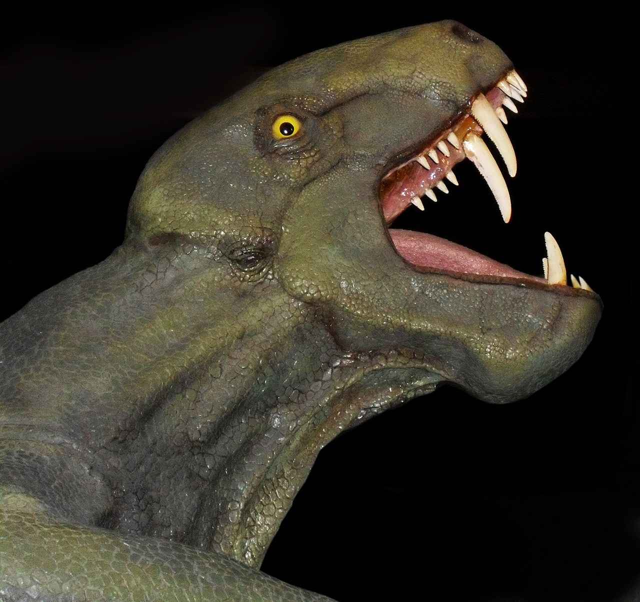 Gorgonops
