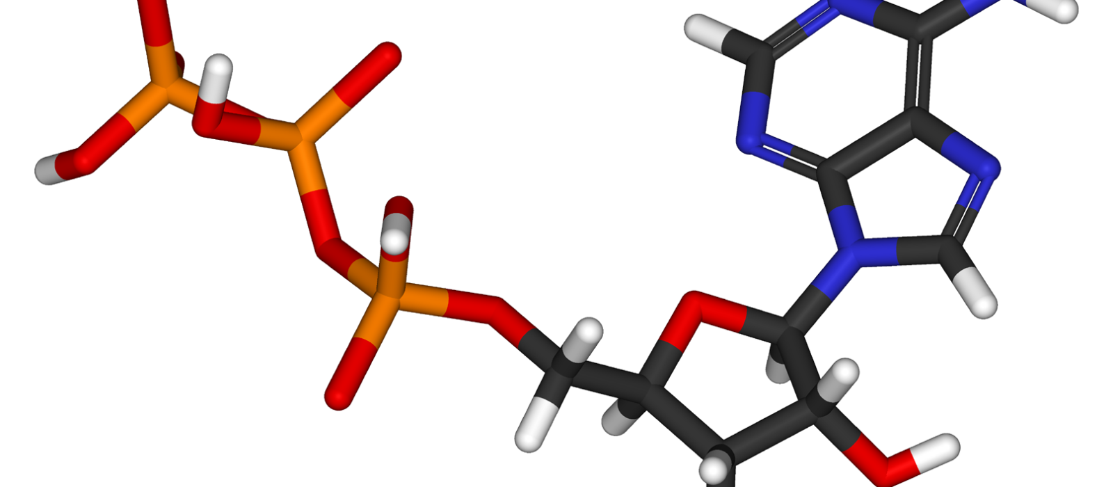 Molécule ATP