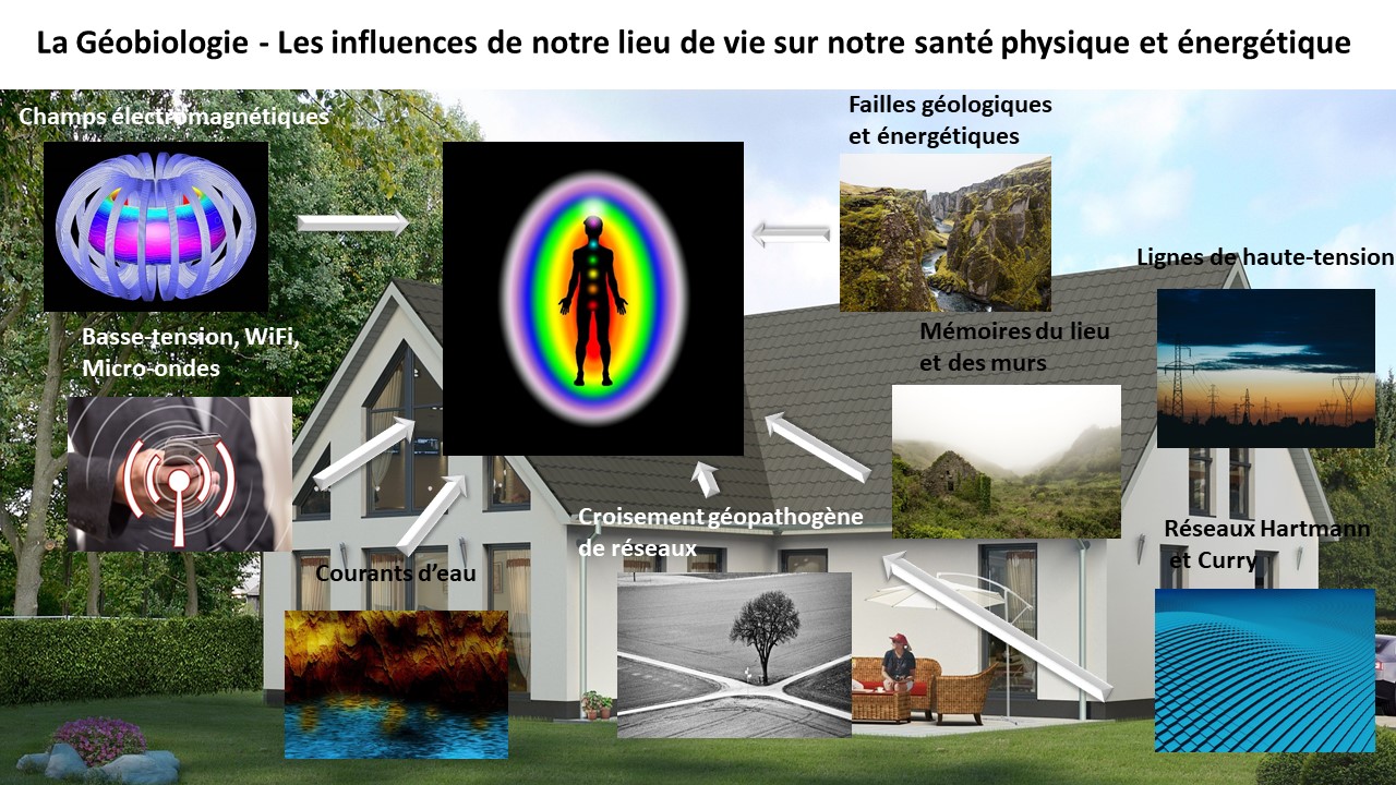 Géobiologie - Les influences de notre lieu de vie sur notre santé