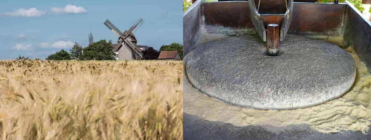 Céréales complètes