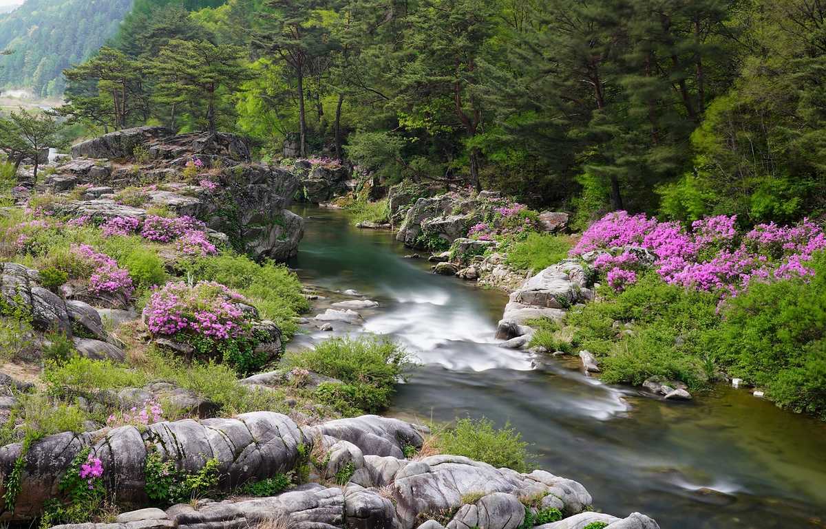 Nature propre