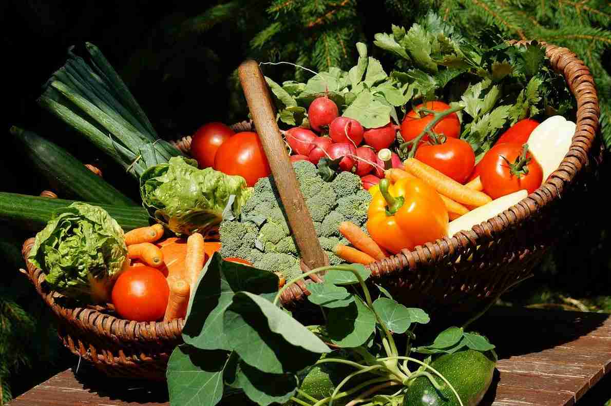 Panier légumes