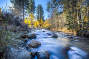 Rivière sauvage