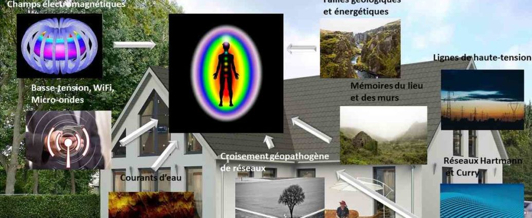 Influences Géobiologie