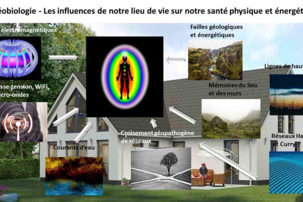 Influences Géobiologie