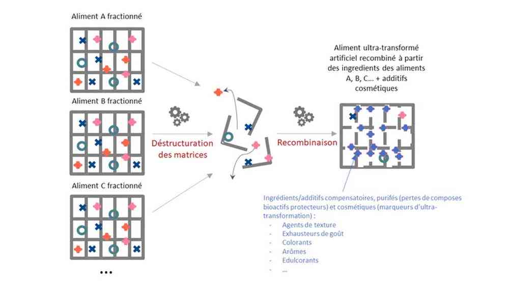 Schéma conceptuel de l'aliment ultratransformé