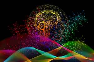 Cerveau droit