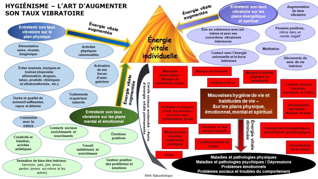 Infographie Hygiénisme - Art d'augmenter le taux vibratoire