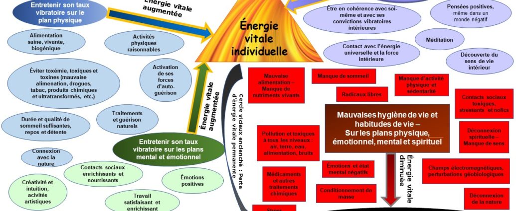 Infographie Hygiénisme - Art d'augmenter le taux vibratoire