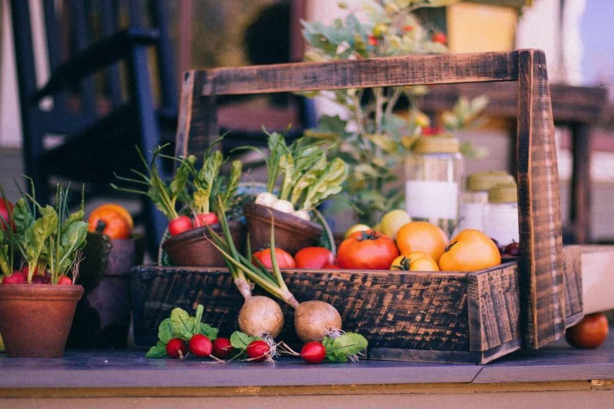 Panier de légumes frais