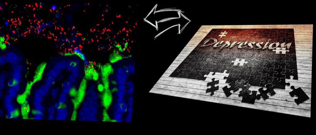 Microbiote - Dépression