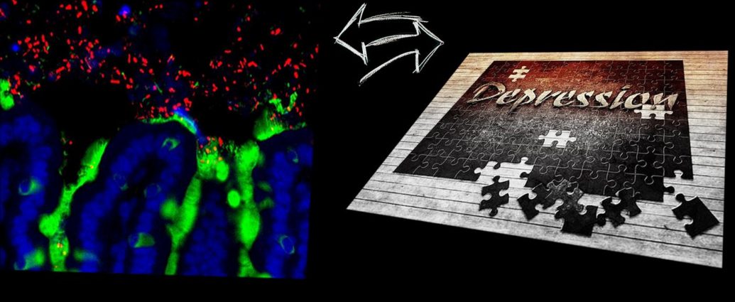 Microbiote - Dépression