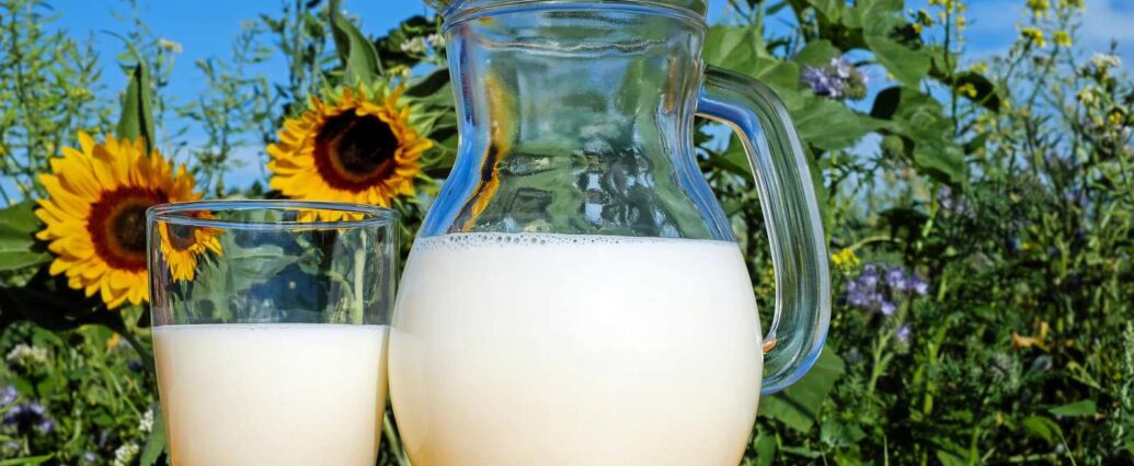 Lait de vache naturel