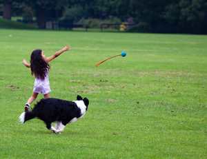 Enfant et chien