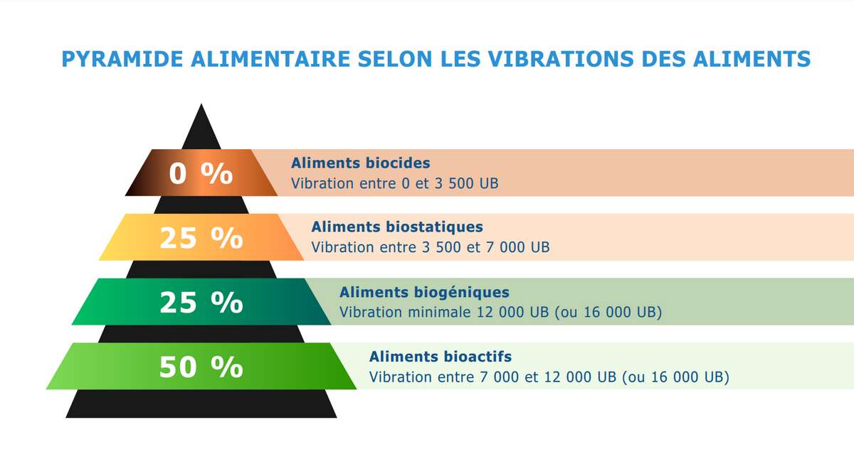 Pyramide Alimentation vivante