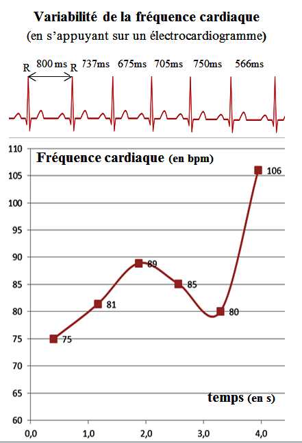 Variabilité de la fréquence cardiaque