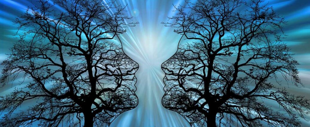 Présentation artistique des nerfs