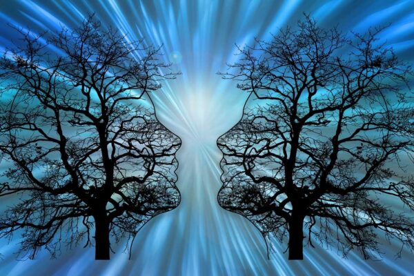 Post 145 – Présentation artistique des nerfs