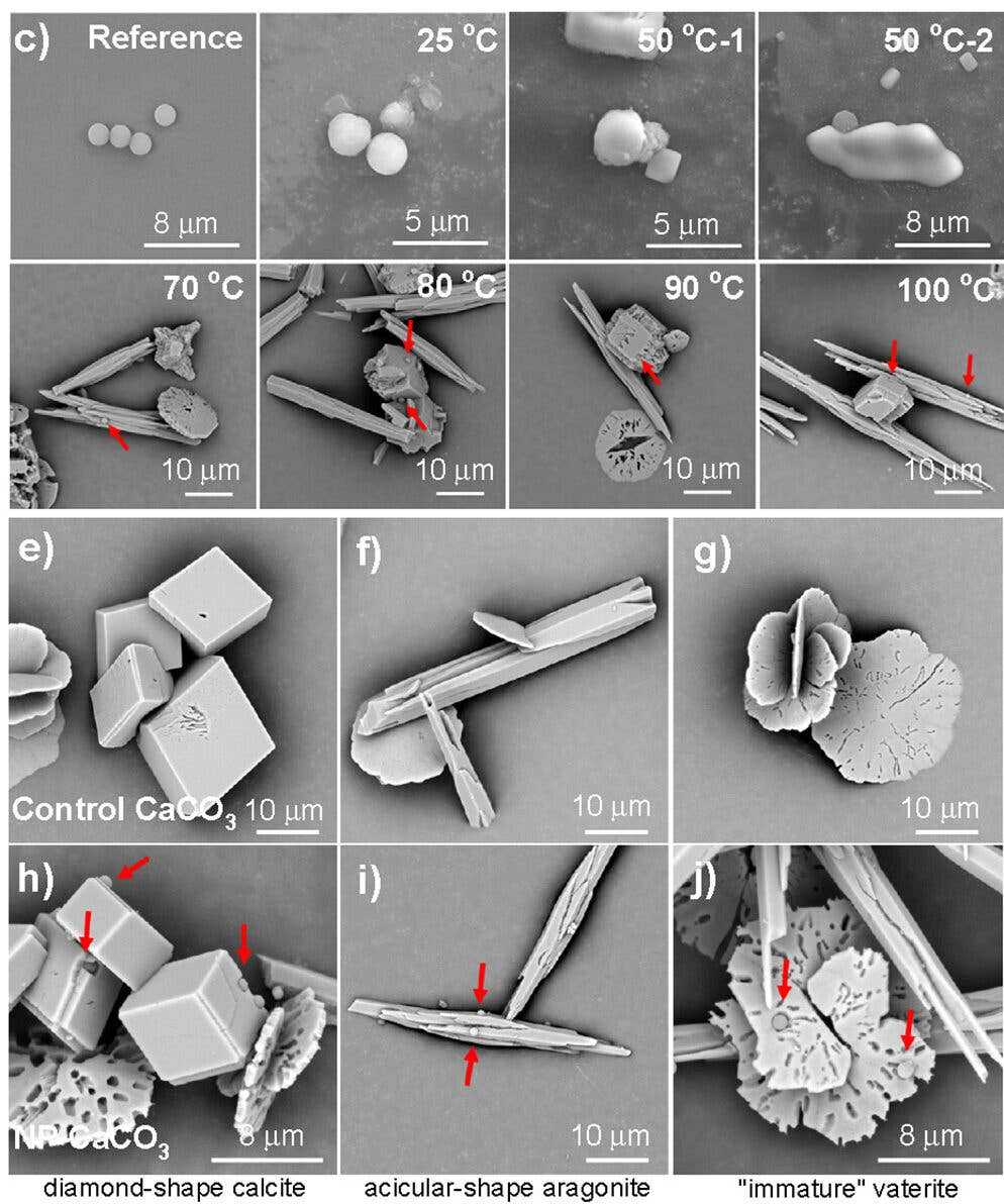 Microplastiques dans l'eau après cuisson qui montre comment éliminer les microplastiques de notre eau 