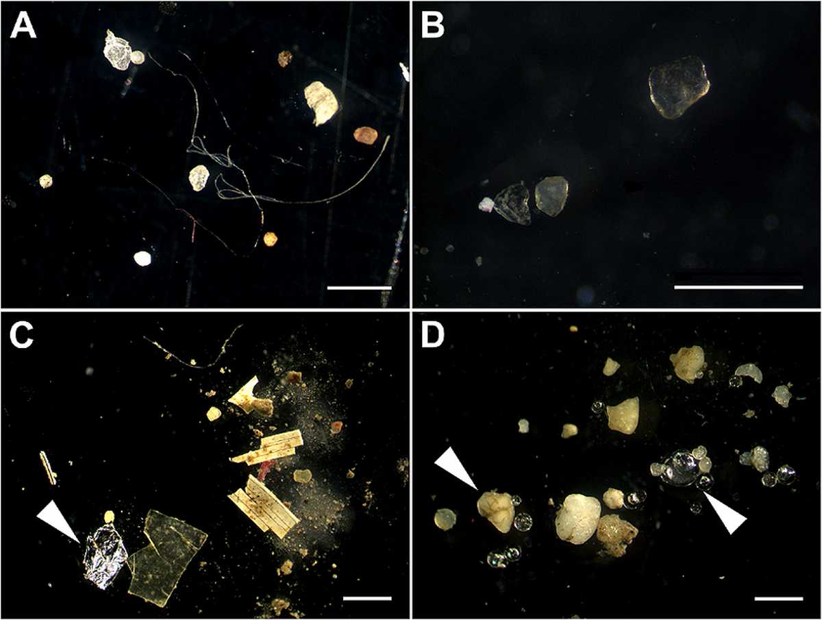 Microplastiques fleuves - Comment éliminer les microplastiques de notre eau