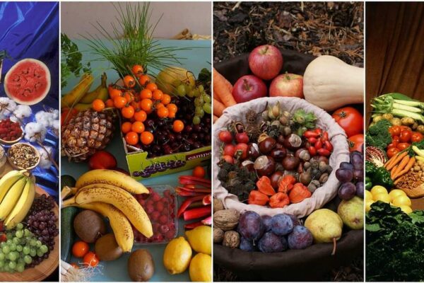 L’alimentation moderne, riche en sucres raffinés et en produits ultratransformés, est l’un des principaux moteurs des maladies chroniques comme le diabète de type 2, la résistance à l’insuline, l’inflammation chronique, les maladies cardiovasculaires ou encore de quelques formes de cancers. Pourtant, une approche nutritionnelle ancestrale, optimisée pour les besoins contemporains, offre une solution efficace : le Régime Méditerranéen Low Carb. Régime méditerranéen