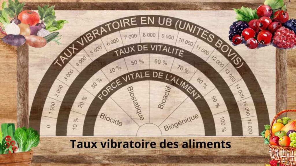 Exemple d'un Biomètre de Bovis pour mesurer les Unités Bovis UB (Planche disponible dans notre boutique)