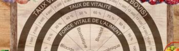 Exemple d'un Biomètre de Bovis pour mesurer les Unités Bovis UB (Planche disponible dans notre boutique)