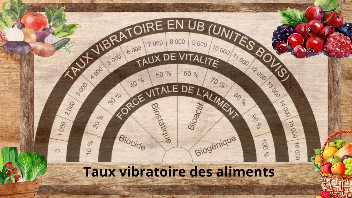 Exemple d'un Biomètre de Bovis pour mesurer les Unités Bovis UB (Planche disponible dans notre boutique)